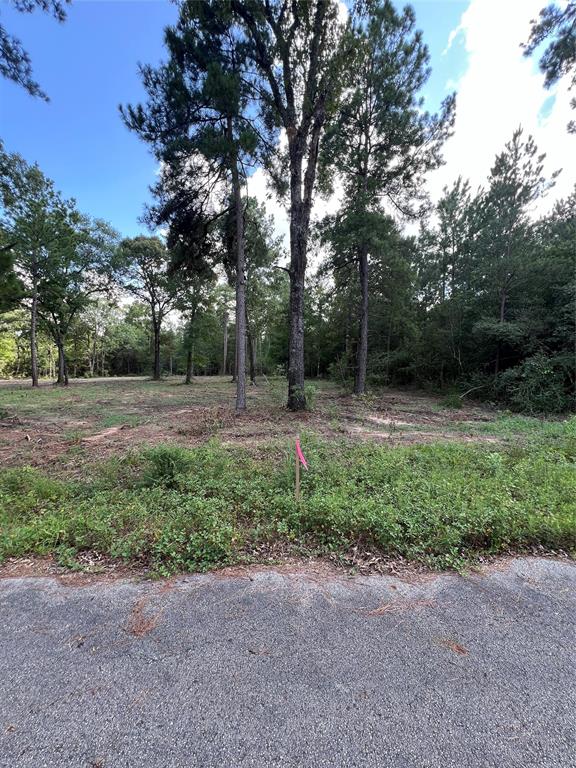 TBD Lot 2 Deerwood Drive, Plantersville, Texas image 5