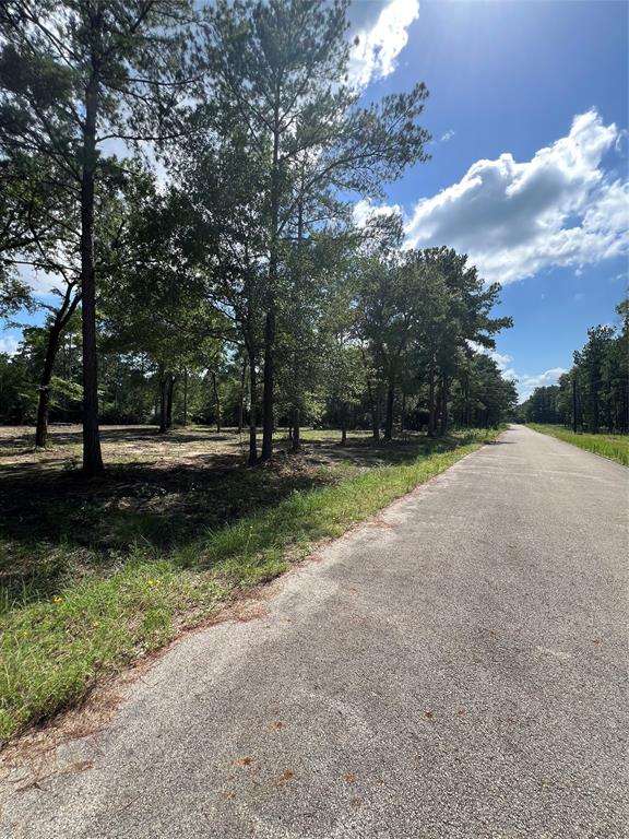 TBD Lot 2 Deerwood Drive, Plantersville, Texas image 4