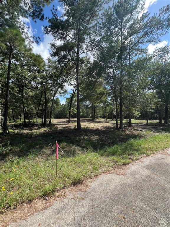 TBD Lot 2 Deerwood Drive, Plantersville, Texas image 3