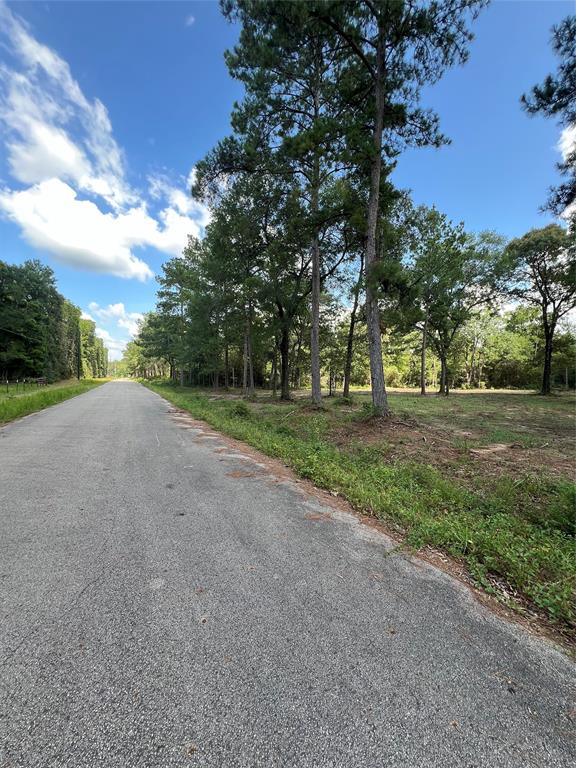 TBD Lot 2 Deerwood Drive, Plantersville, Texas image 7