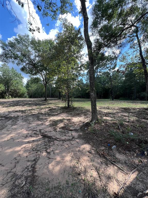 TBD Lot 2 Deerwood Drive, Plantersville, Texas image 1