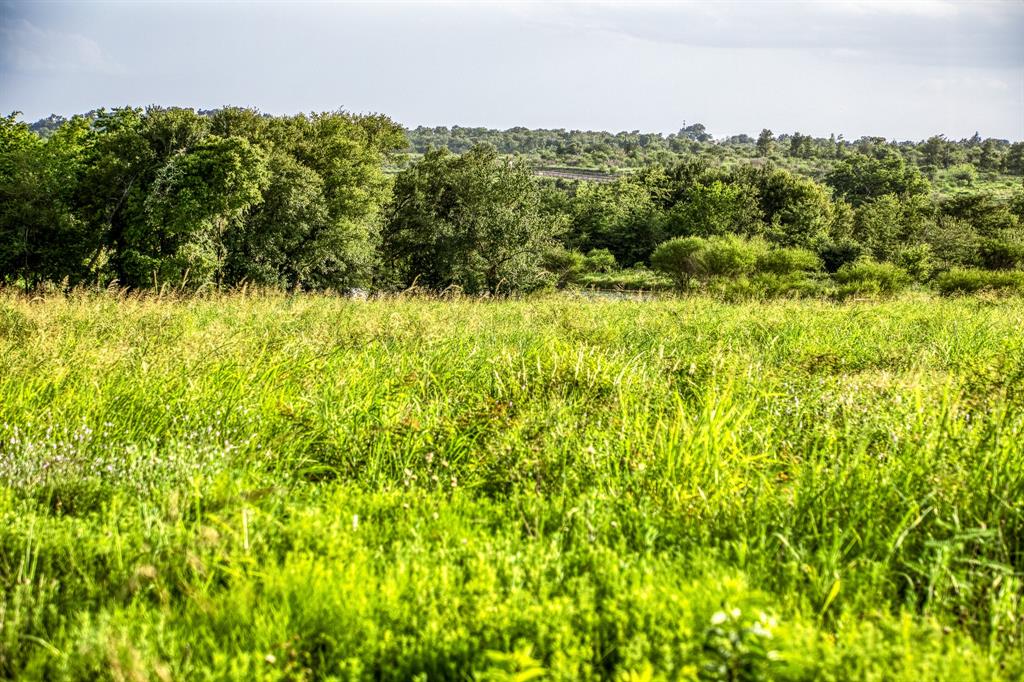 LOT 9 Hargrove Lane, Washington, Texas image 6