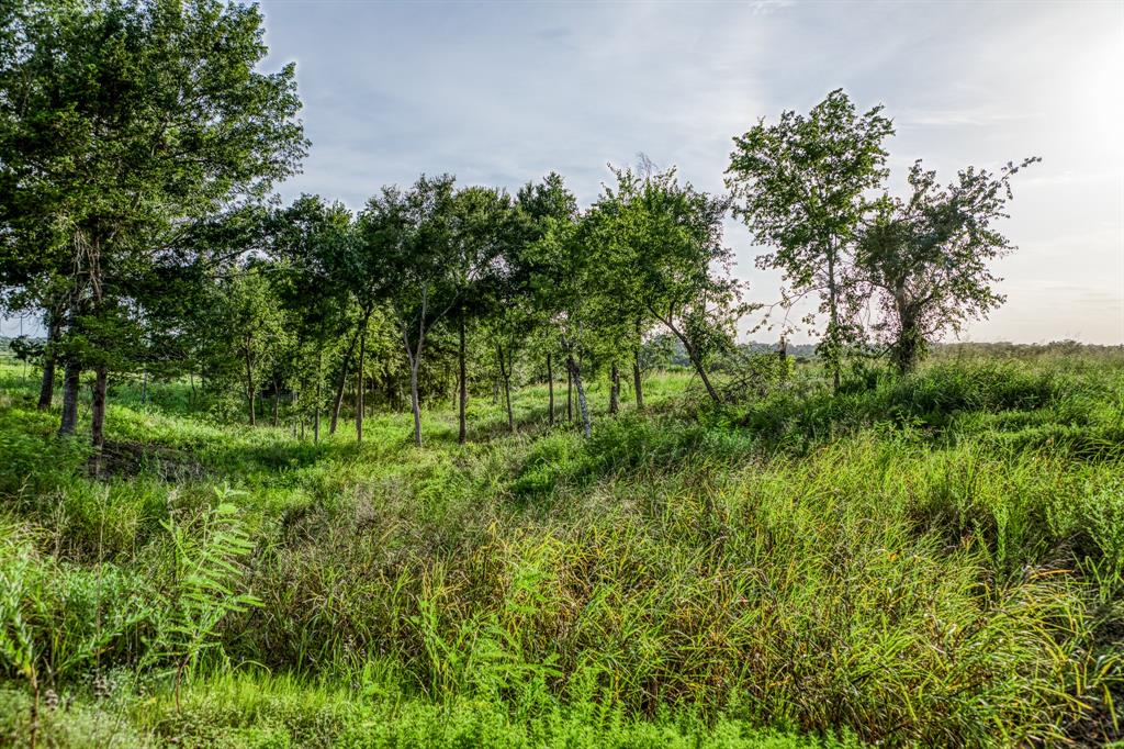 LOT 9 Hargrove Lane, Washington, Texas image 11