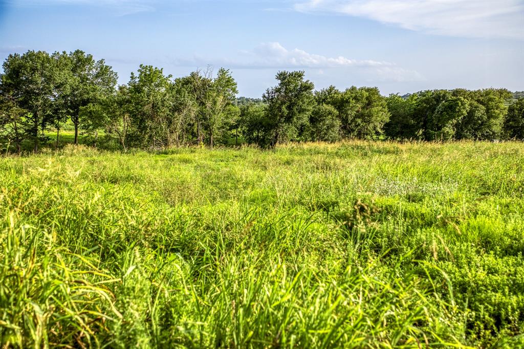 LOT 9 Hargrove Lane, Washington, Texas image 5