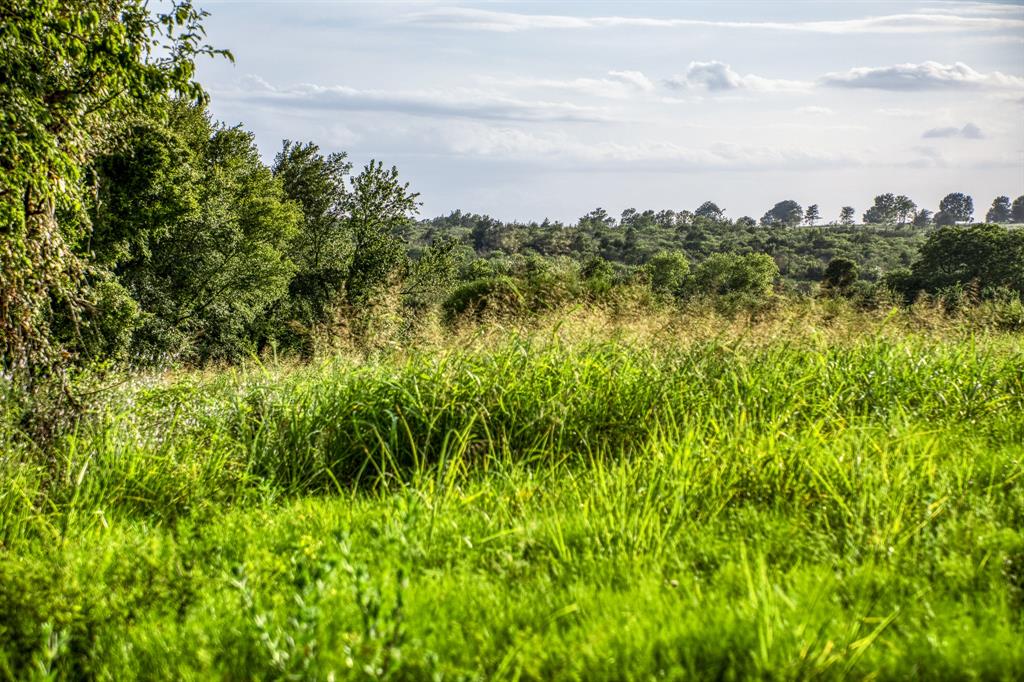 LOT 9 Hargrove Lane, Washington, Texas image 9