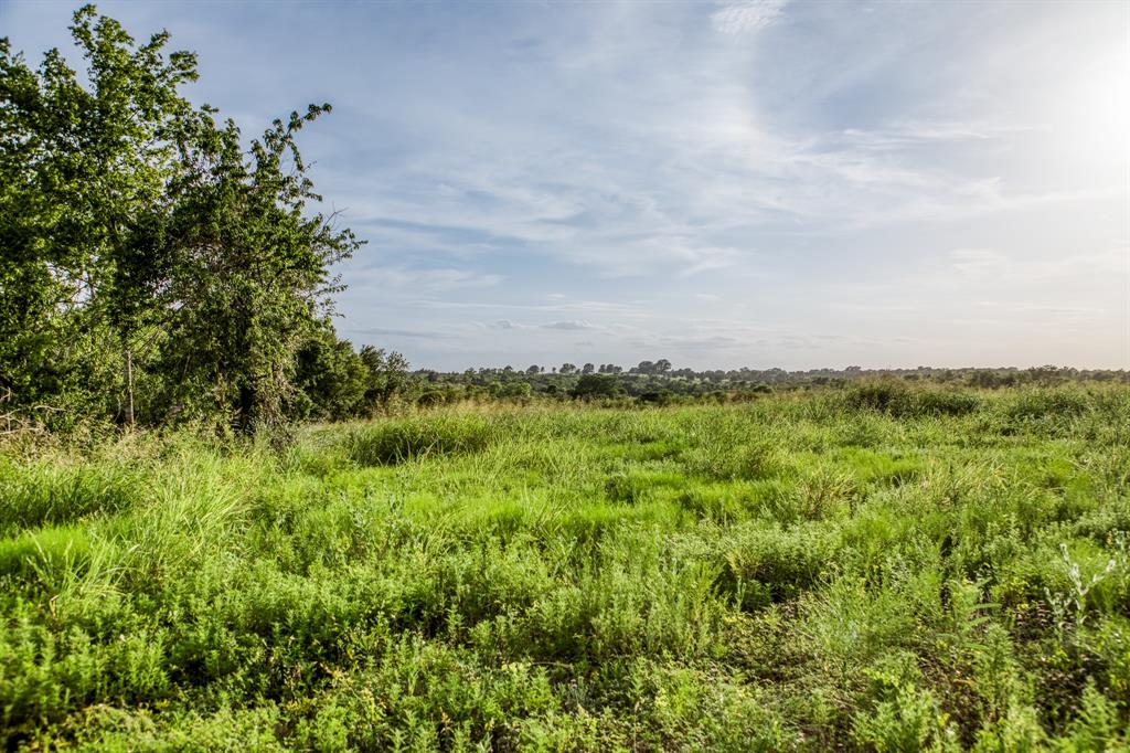 LOT 9 Hargrove Lane, Washington, Texas image 8