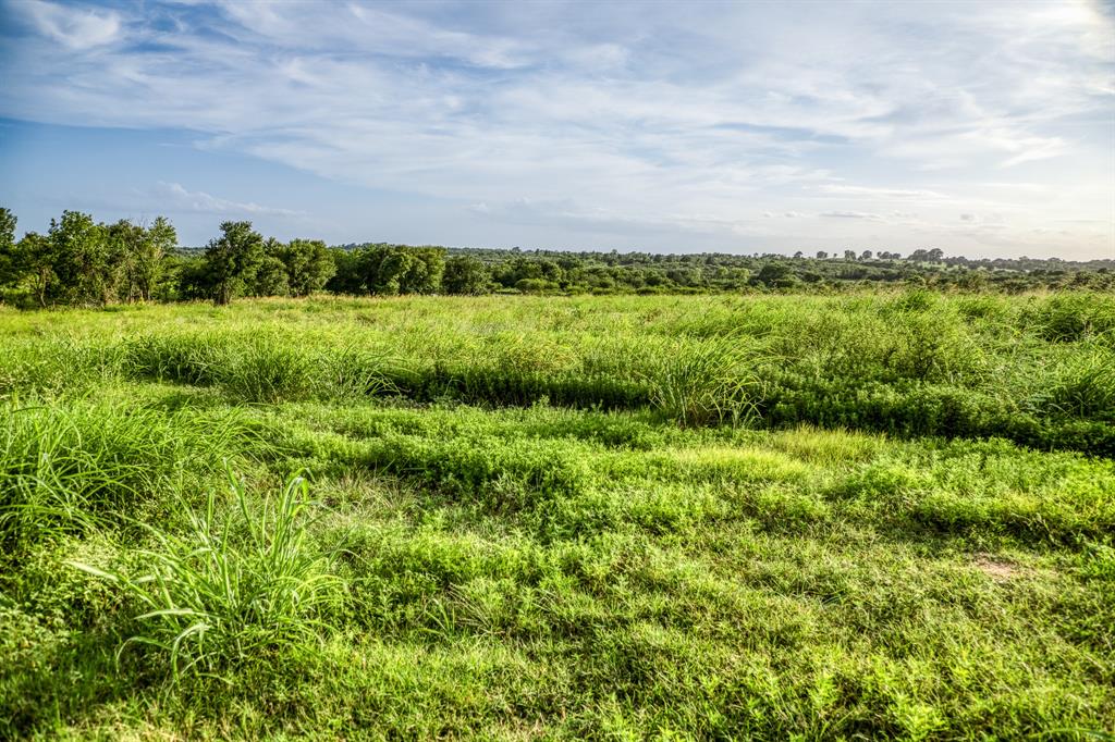 LOT 9 Hargrove Lane, Washington, Texas image 4