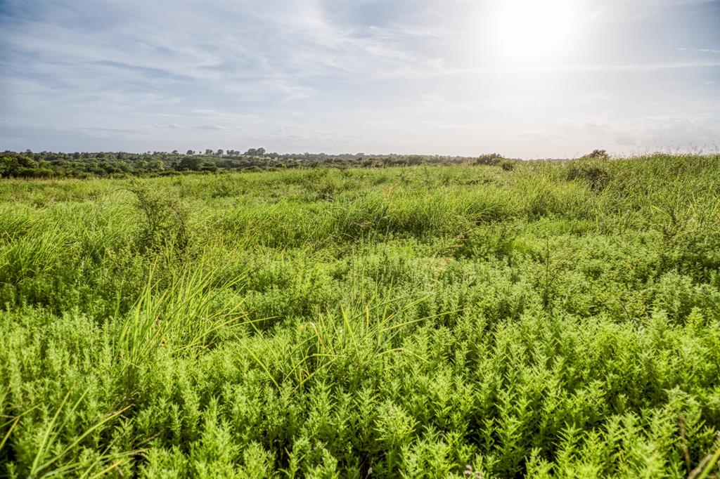 LOT 9 Hargrove Lane, Washington, Texas image 7