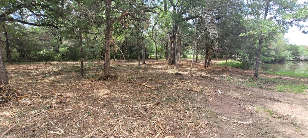 440 Boulton Creek Road, Muldoon, Texas image 8