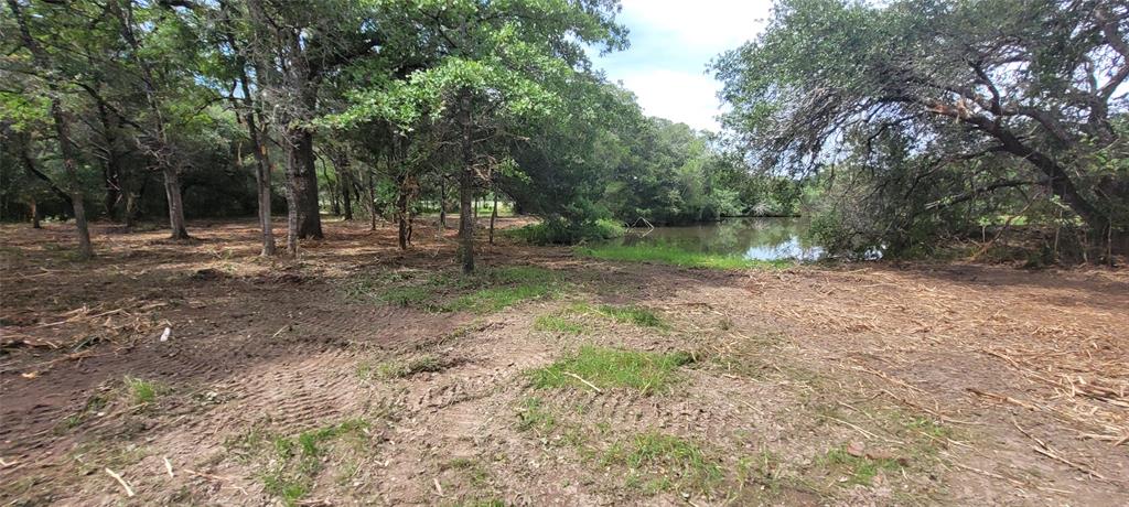 440 Boulton Creek Road, Muldoon, Texas image 7