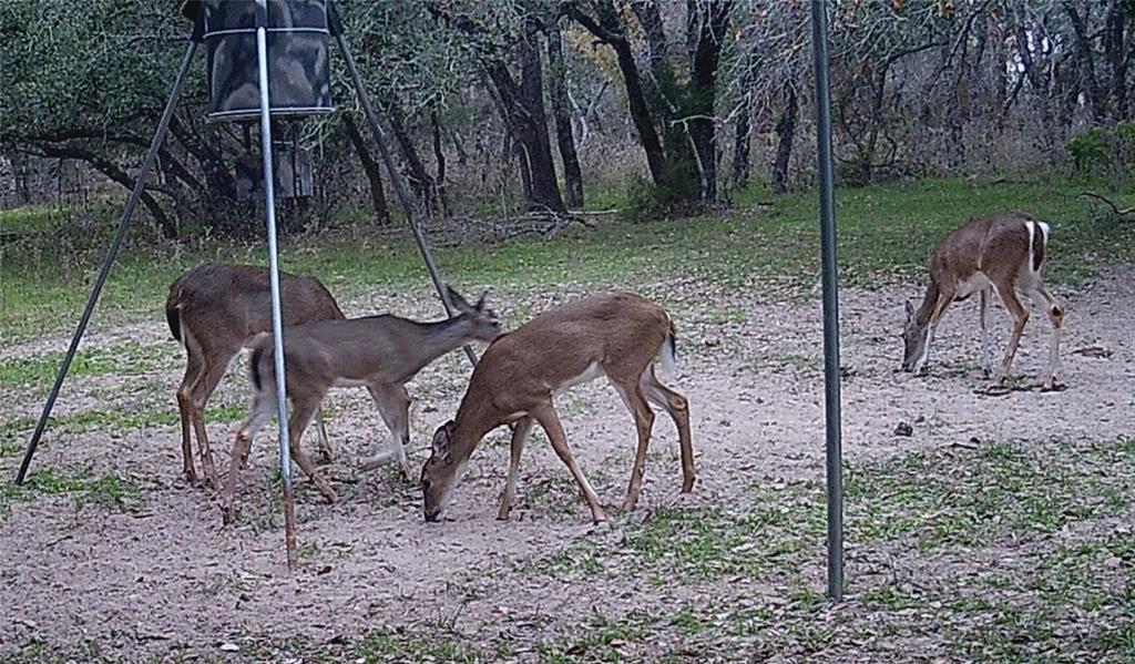 440 Boulton Creek Road, Muldoon, Texas image 30