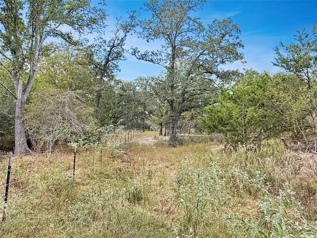 440 Boulton Creek Road, Muldoon, Texas image 20