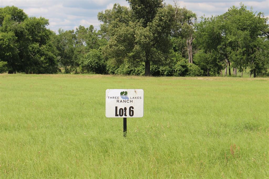 Tract 6 Private Road 1311, Centerville, Texas image 9