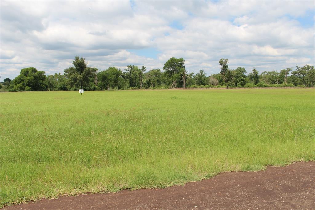 Tract 6 Private Road 1311, Centerville, Texas image 11