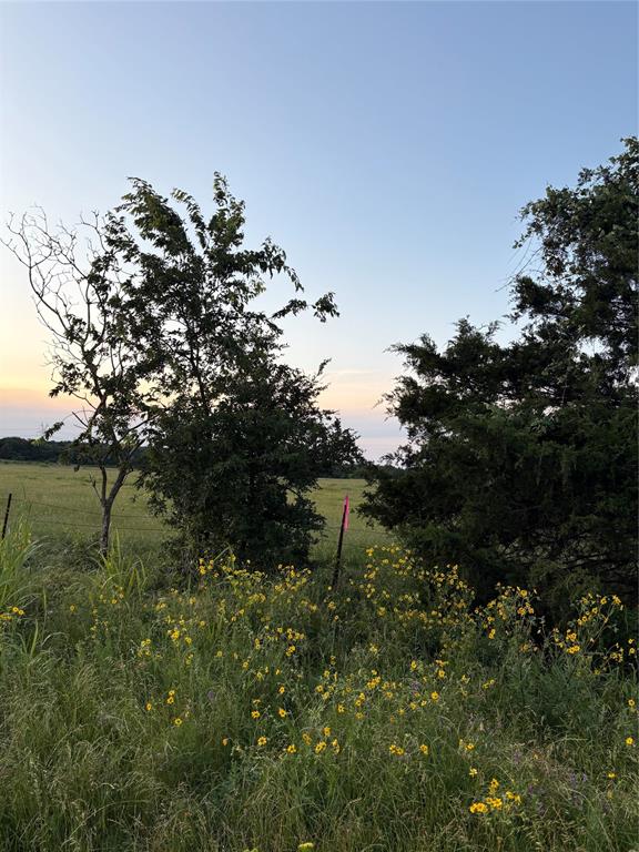 0000 Fm-2293, Bremond, Texas image 8