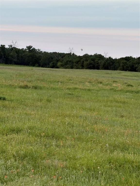 0000 Fm-2293, Bremond, Texas image 3
