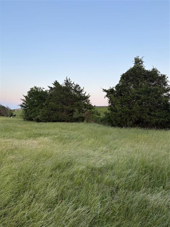 0000 Fm-2293, Bremond, Texas image 6