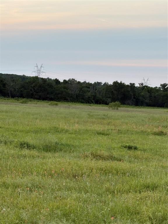 0000 Fm-2293, Bremond, Texas image 4