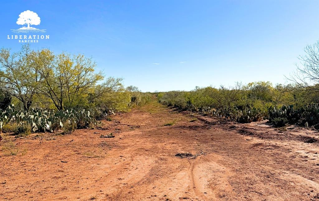 0001 County Road 300, Jourdanton, Texas image 3