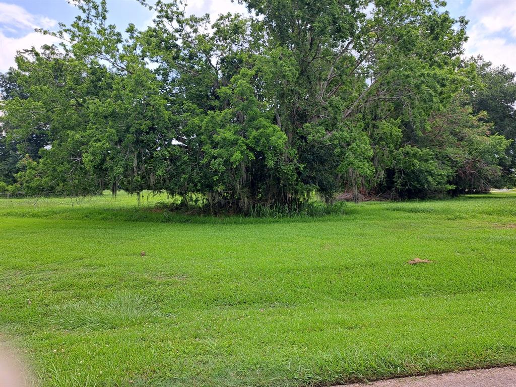 101 Cattle Drive Trail, Angleton, Texas image 9