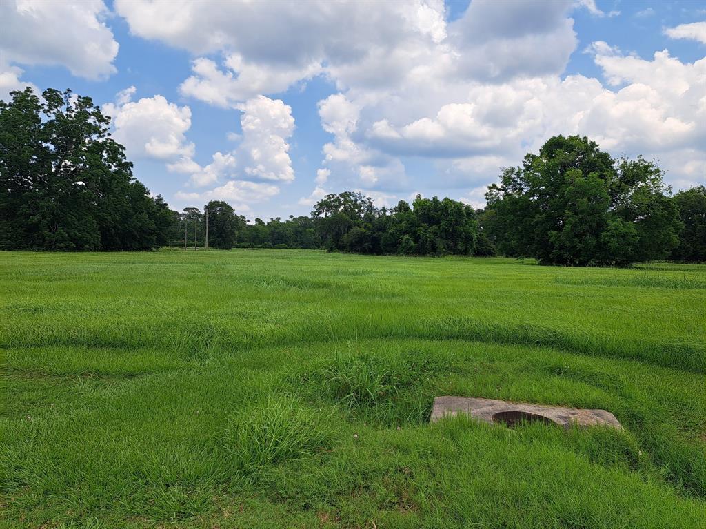 101 Cattle Drive Trail, Angleton, Texas image 6