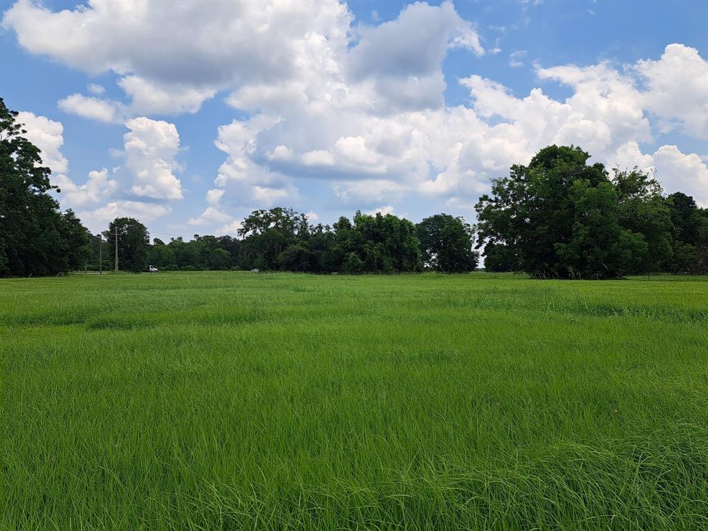 101 Cattle Drive Trail, Angleton, Texas image 5