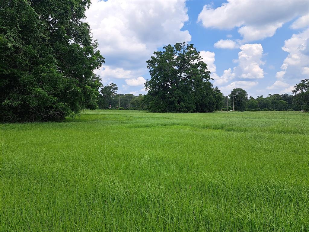 101 Cattle Drive Trail, Angleton, Texas image 4