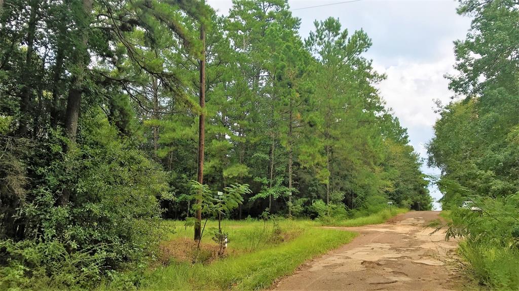 Lot 1 Friar Tuck Drive, Woodville, Texas image 3