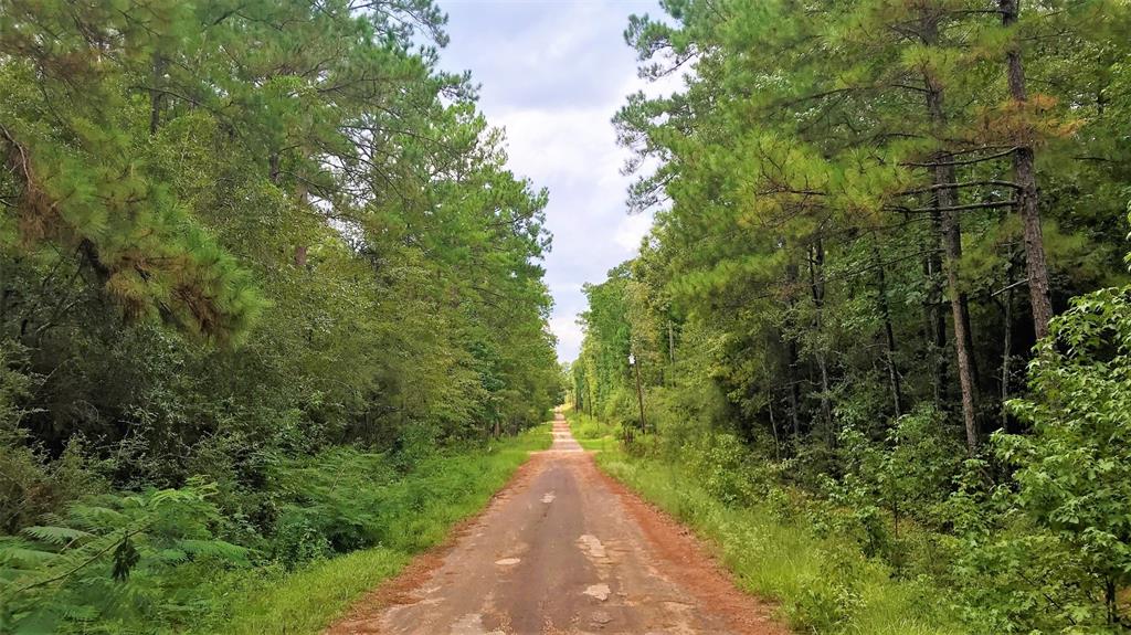 Lot 1 Friar Tuck Drive, Woodville, Texas image 1