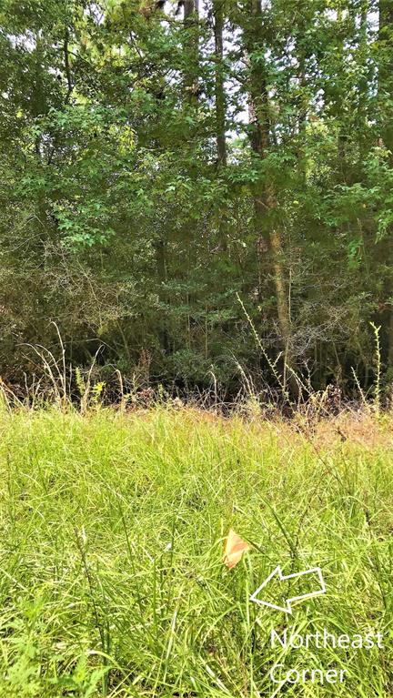 Lot 1 Friar Tuck Drive, Woodville, Texas image 6