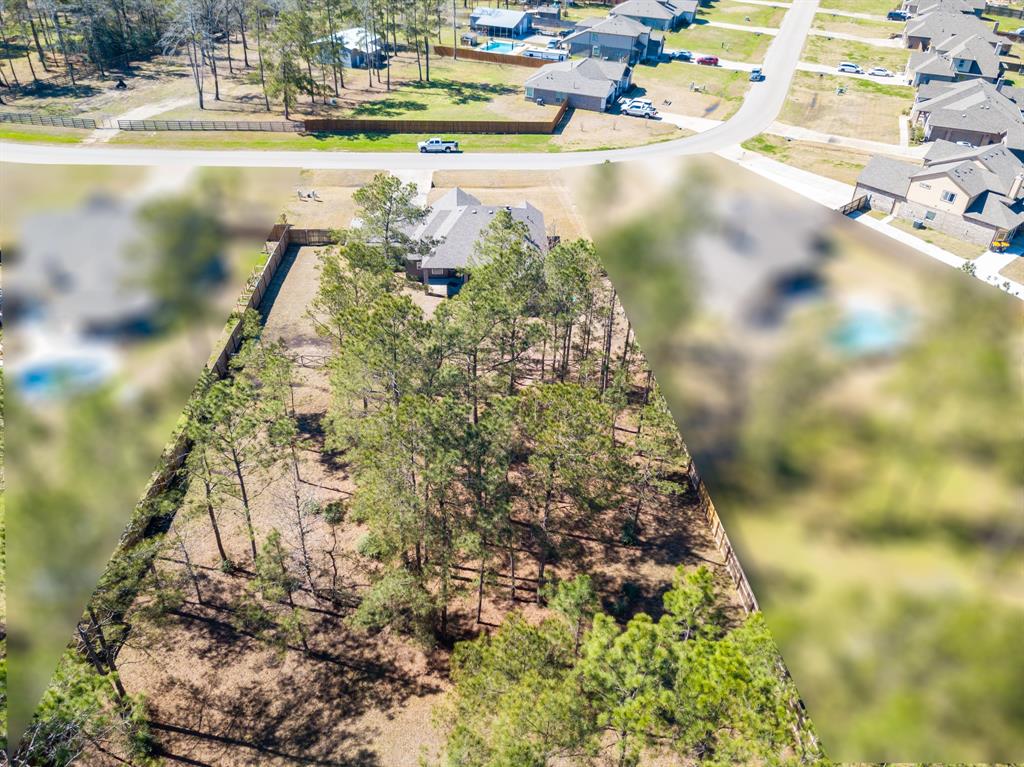16077 Deer Pines Drive, Conroe, Texas image 29