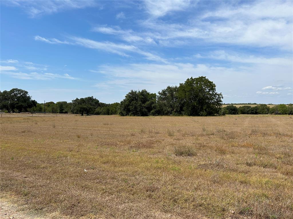 455 Red Tip Lane, Brenham, Texas image 27