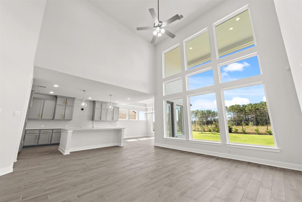 16275 Blue Mistflower Lane