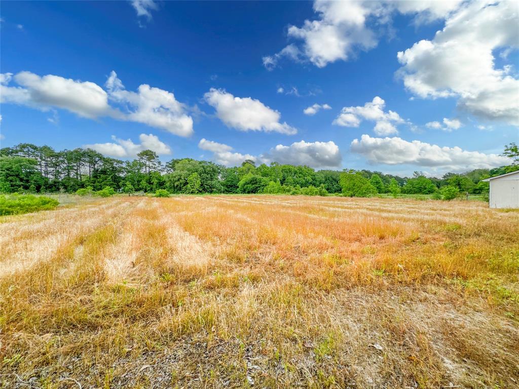 15869 Brush Island Road, Winnie, Texas image 30