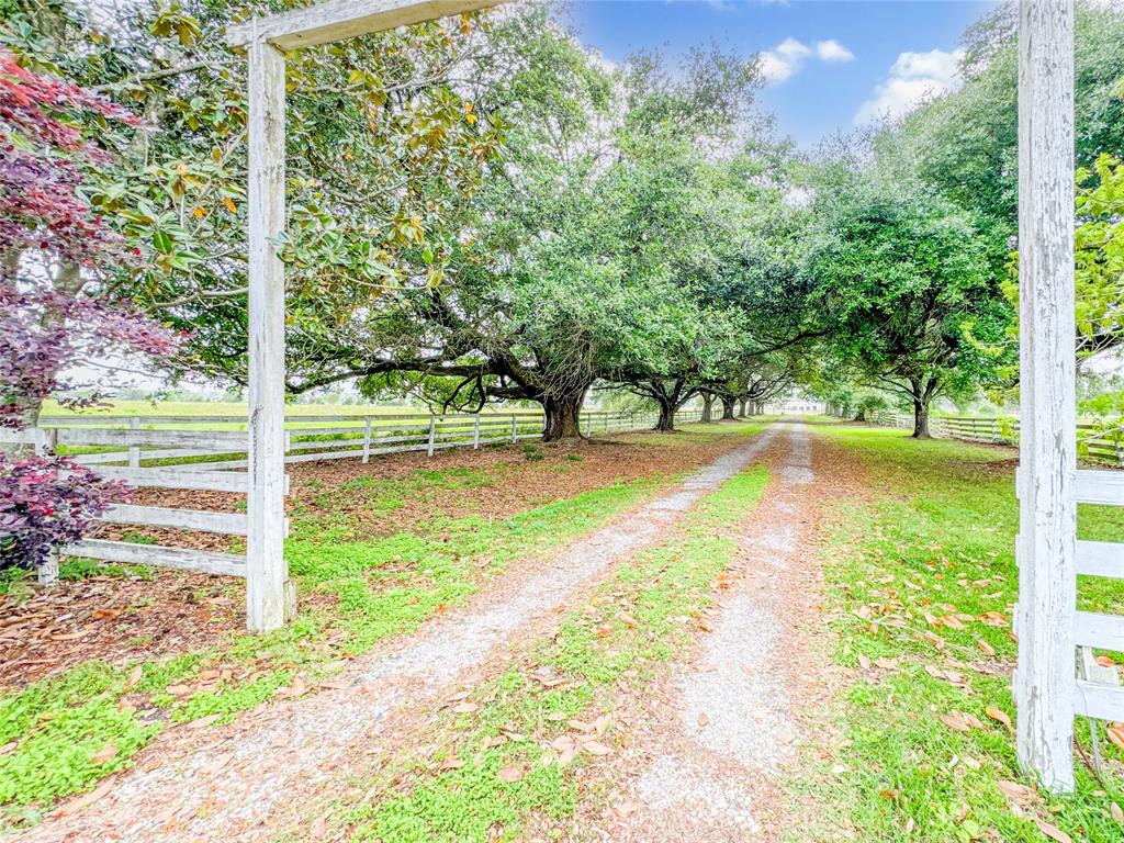 15869 Brush Island Road, Winnie, Texas image 31