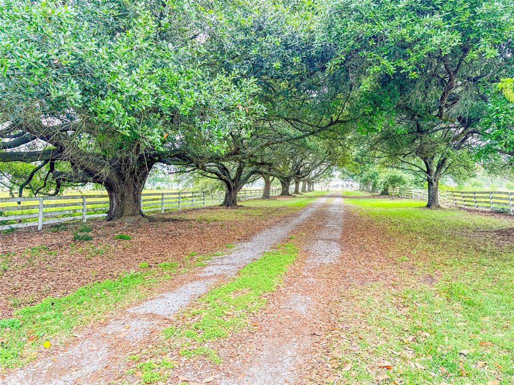 15869 Brush Island Road, Winnie, Texas image 32