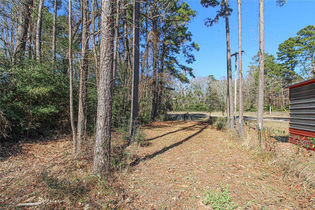 000 Fm 356 North, Trinity, Texas image 9