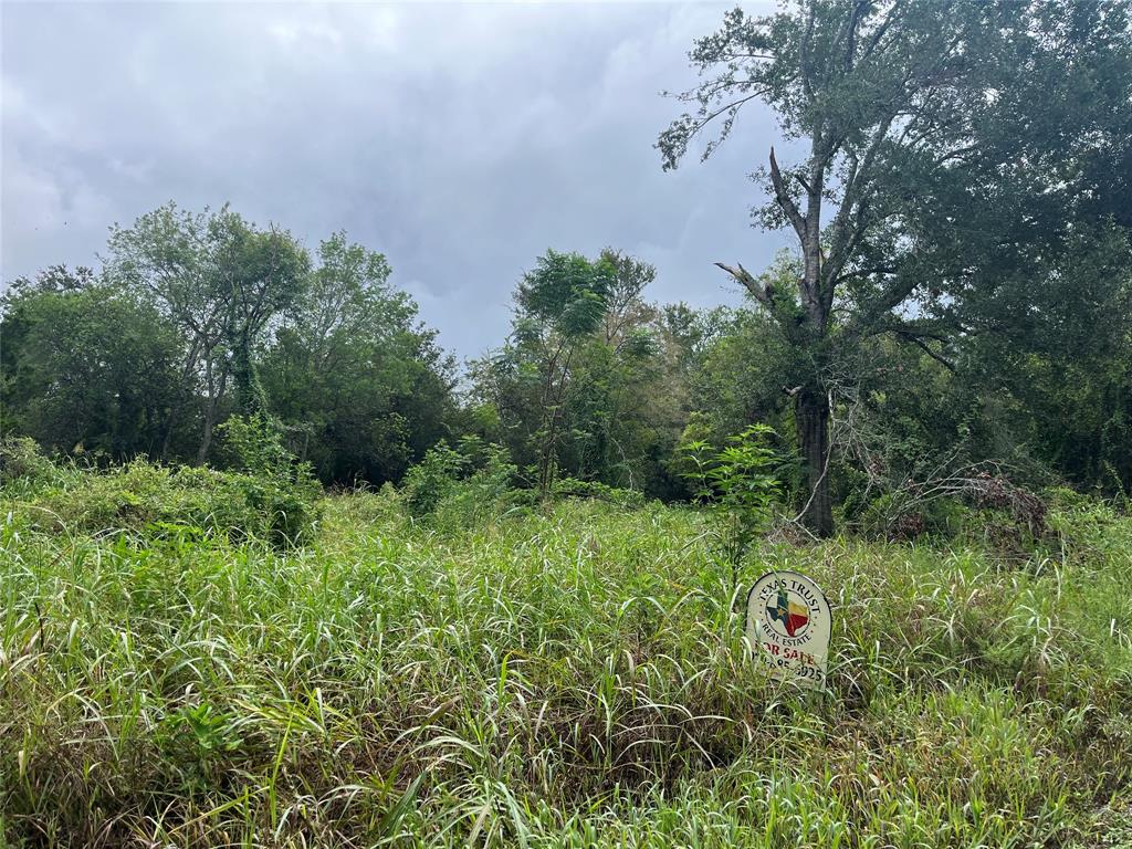 1952 Skrivanek Road, Sealy, Texas image 14