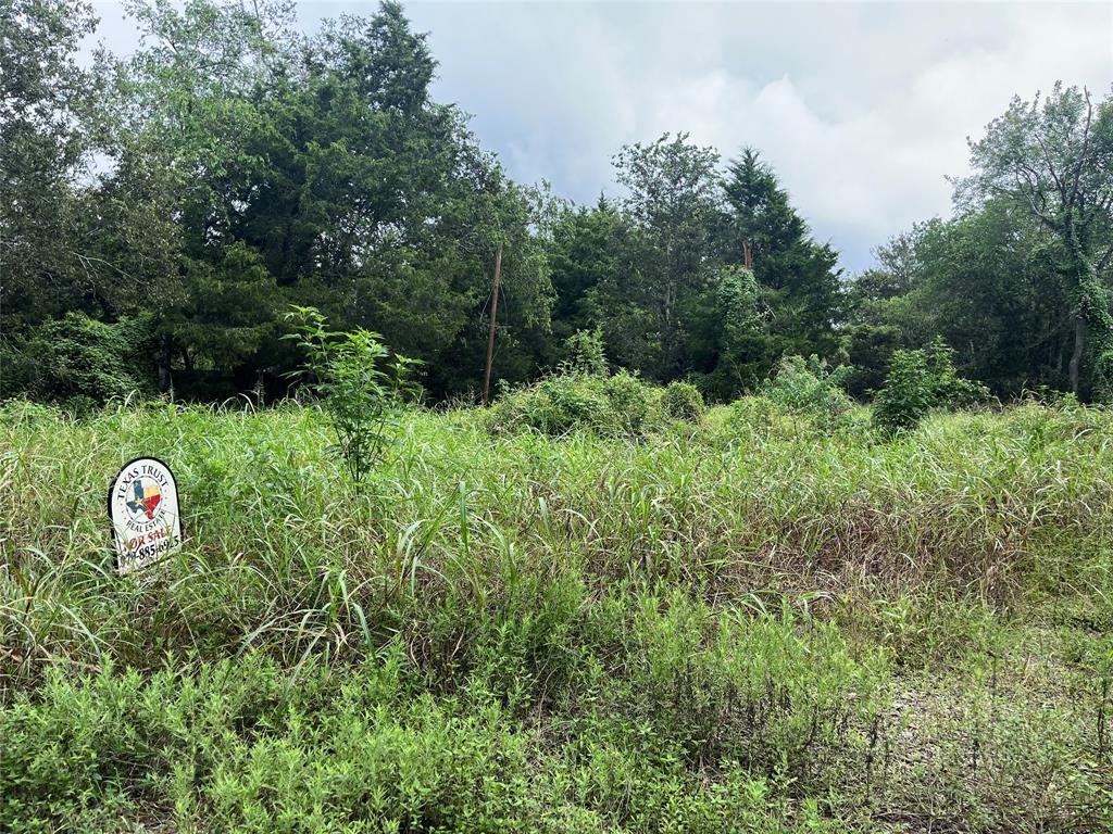 1952 Skrivanek Road, Sealy, Texas image 1