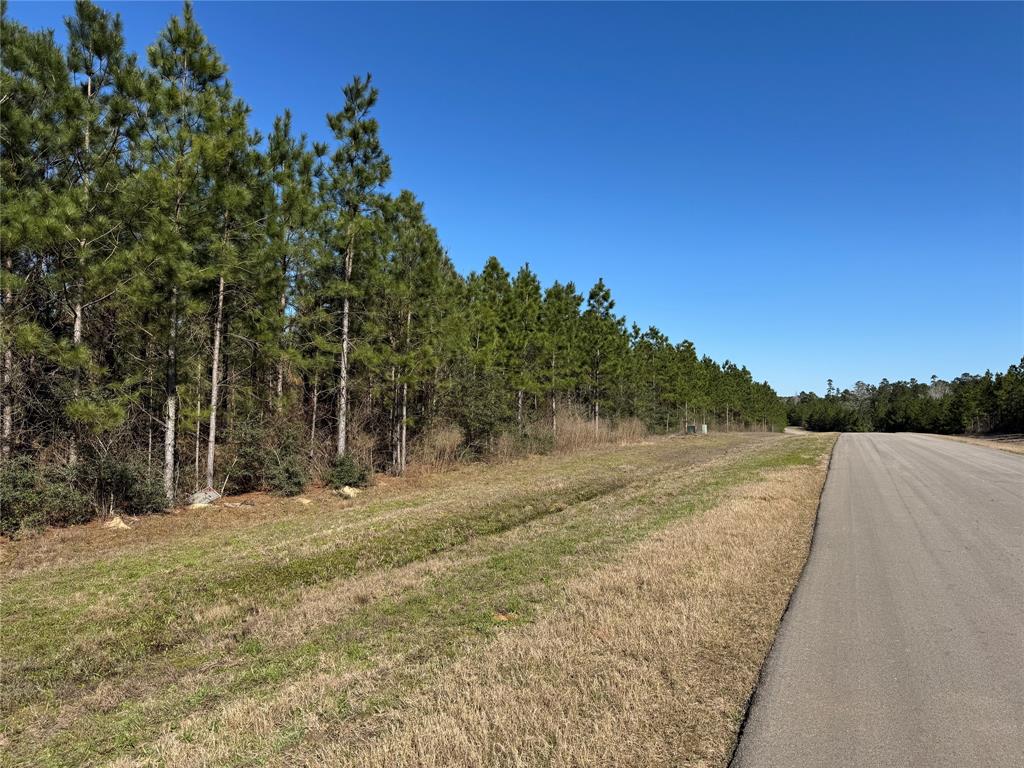 15999 Wood Grove Way, Willis, Texas image 7