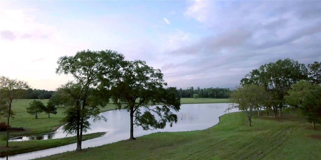 15999 Wood Grove Way, Willis, Texas image 10