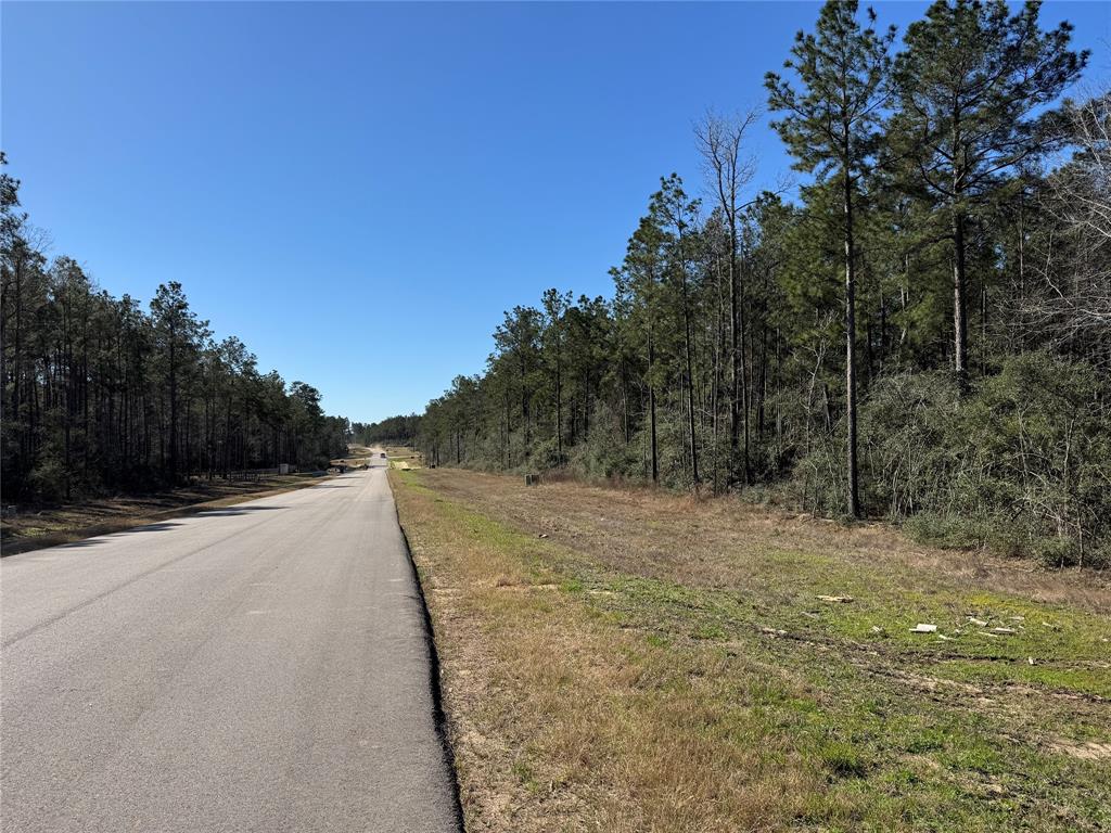 15999 Wood Grove Way, Willis, Texas image 9