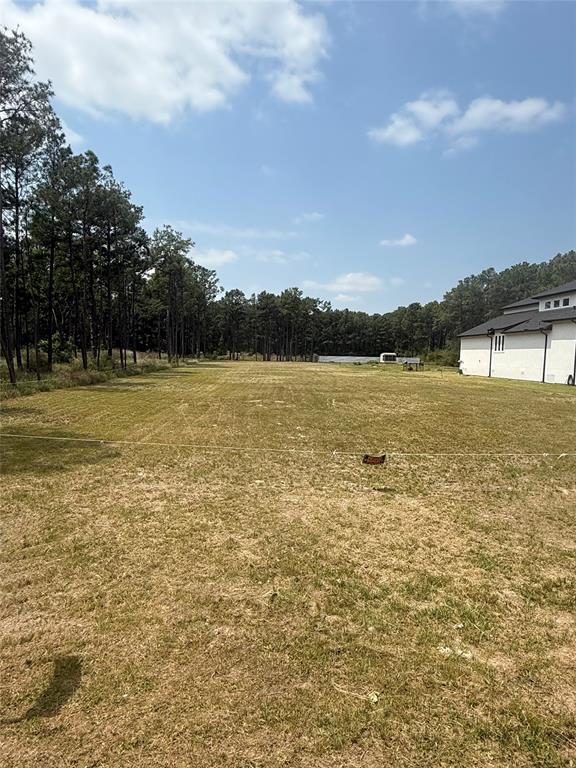 Grant Road, Cypress, Texas image 9