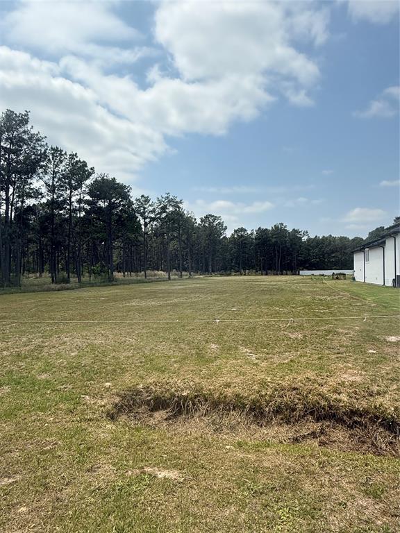 Grant Road, Cypress, Texas image 8