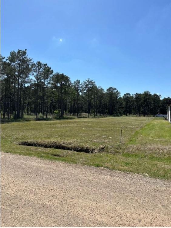 Grant Road, Cypress, Texas image 4