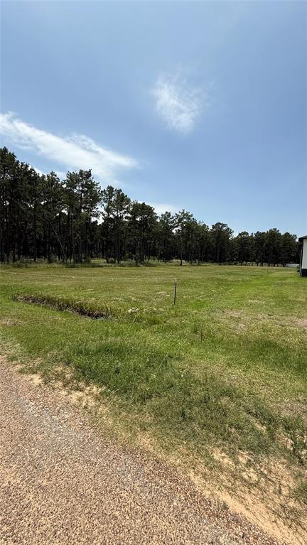 Grant Road, Cypress, Texas image 6