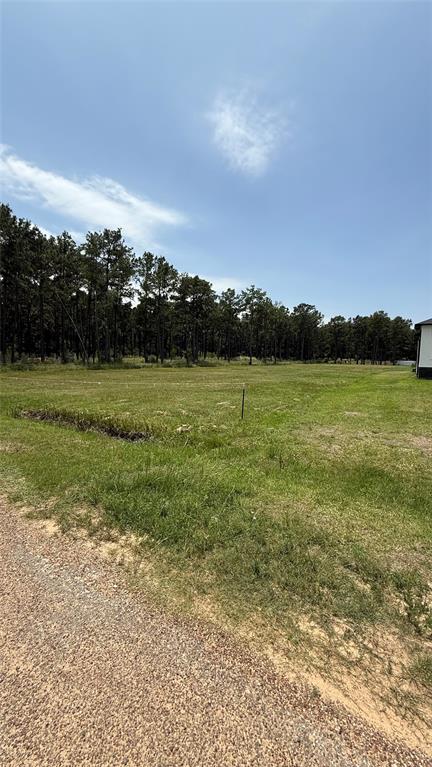 Grant Road, Cypress, Texas image 7