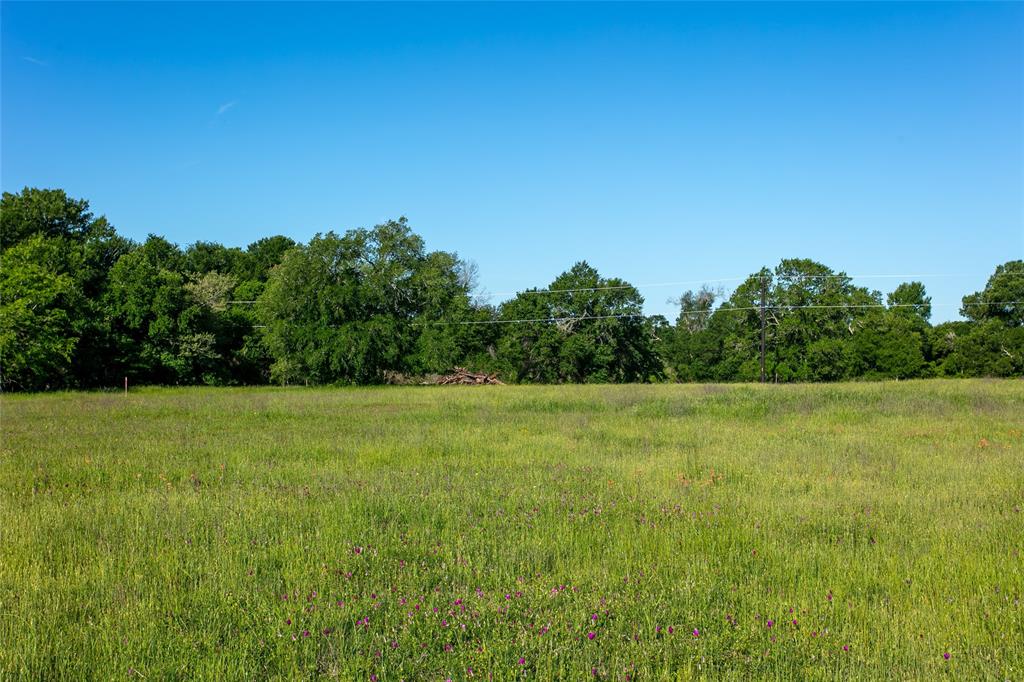 Lot 4B Brazos Court, Caldwell, Texas image 2