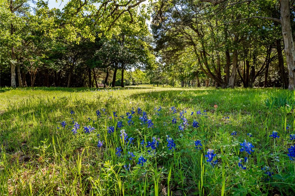 301 Huenefeld Lane, Round Top, Texas image 21