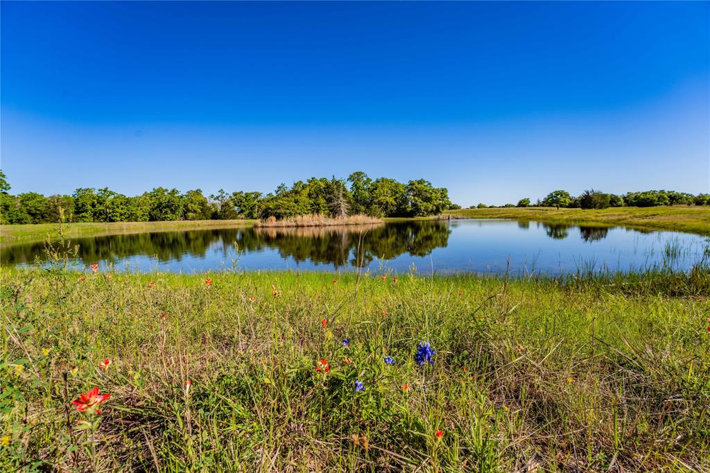 301 Huenefeld Lane, Round Top, Texas image 24